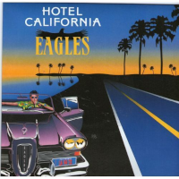 Pochette Vinyl